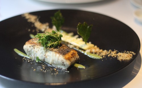 sea bass with celery illusion