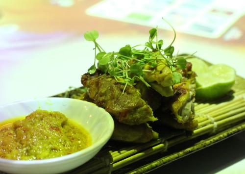 Baby Malayan Chicken 1