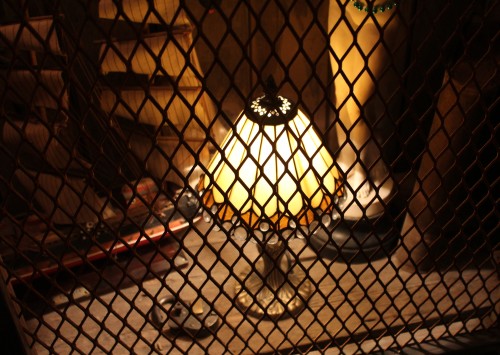 Interior Ninth Ward 1