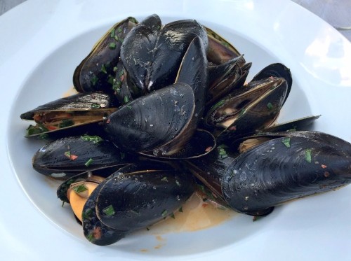 Mussels