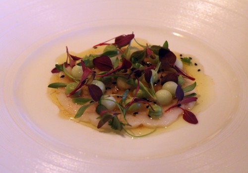 Scallops, avocado purée, Granny Smith apples, red amaranth