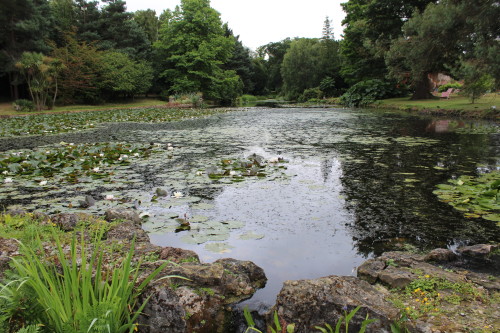 Lifehouse Spa & Hotel