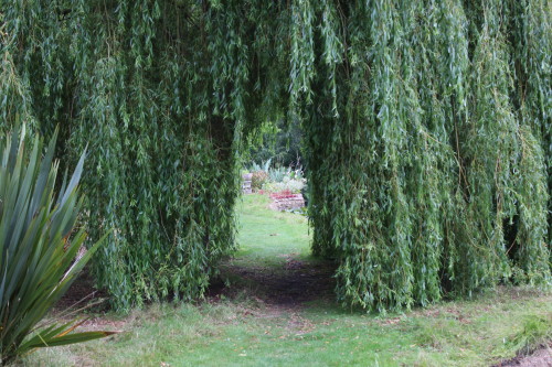 Lifehouse Spa & Hotel