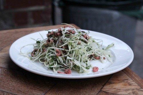 Brown shrimp & white cabbage