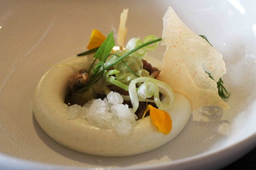 Langoustine, fennel, sake and Dutch Shrimp