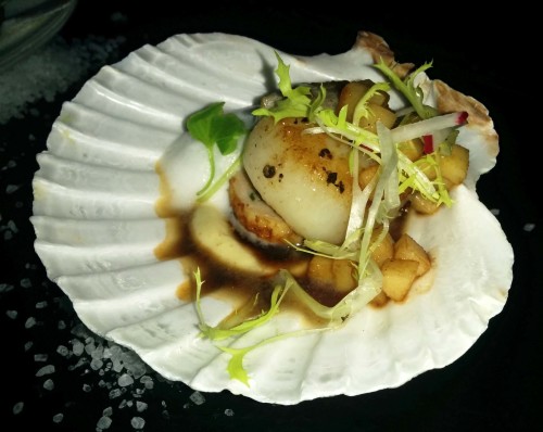 Scallop