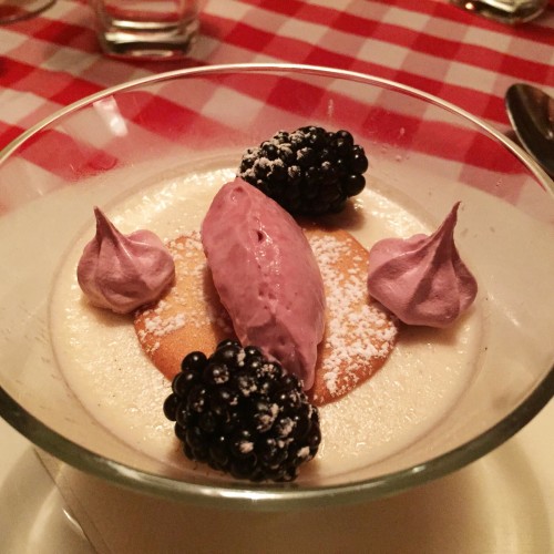 Wild berry panna cotta