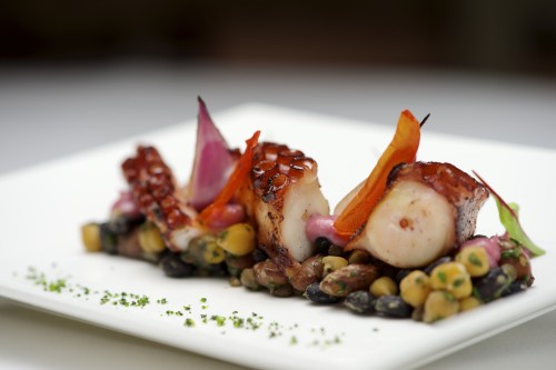 The-Wellesley-Oval-Restaurant-Octopus-1