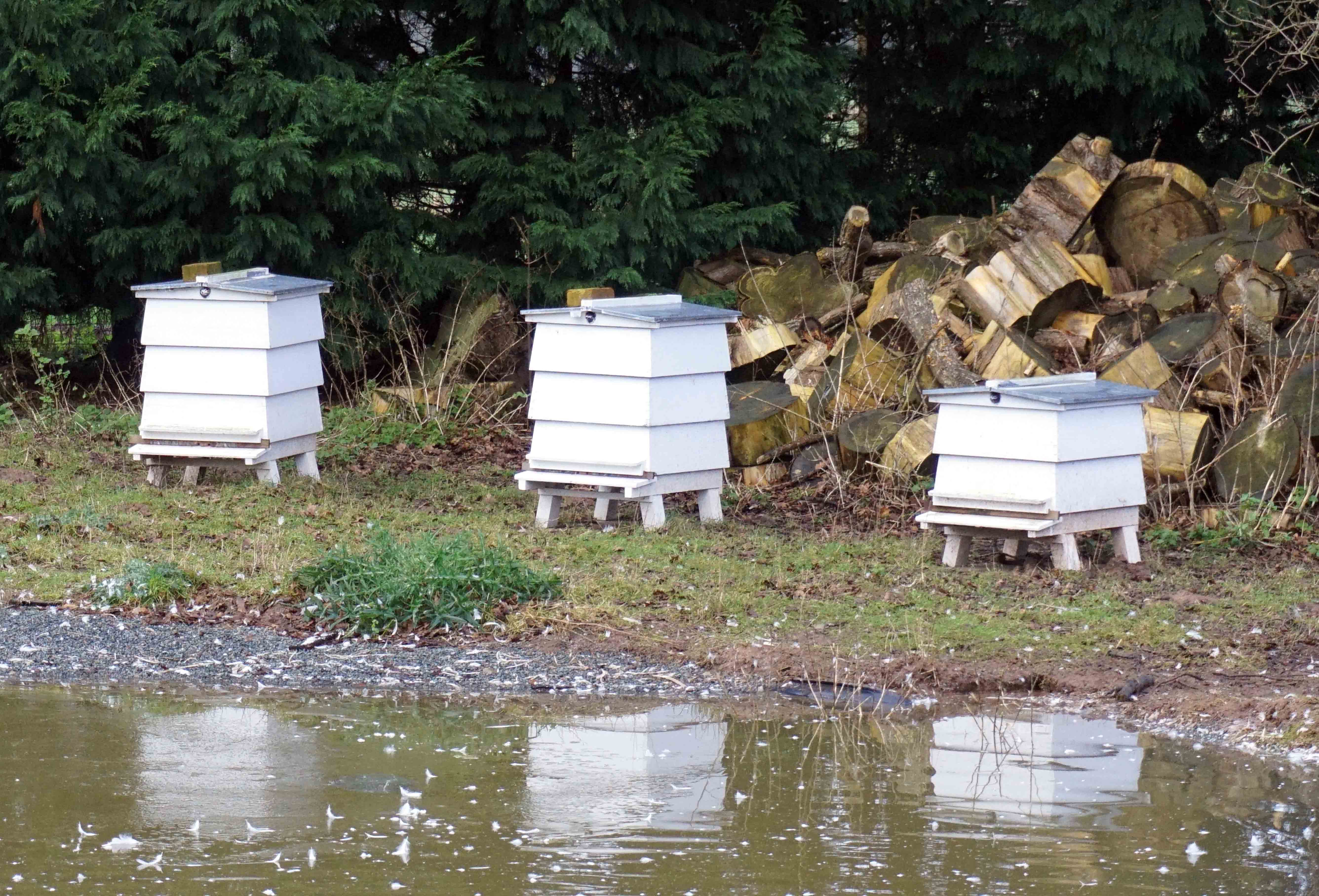 Llangoed Hall Hotel Grounds