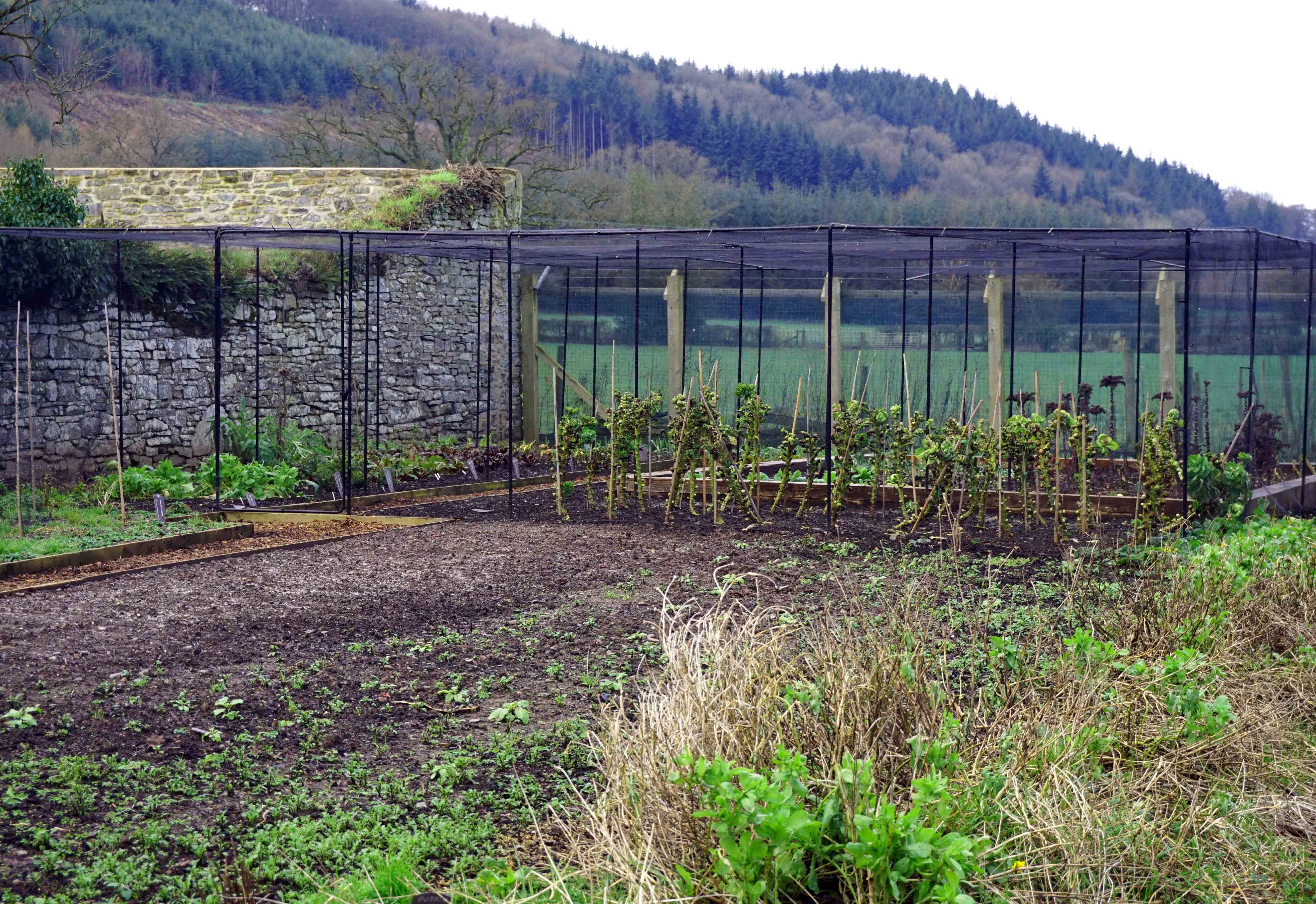 Llangoed Hall Hotel Grounds