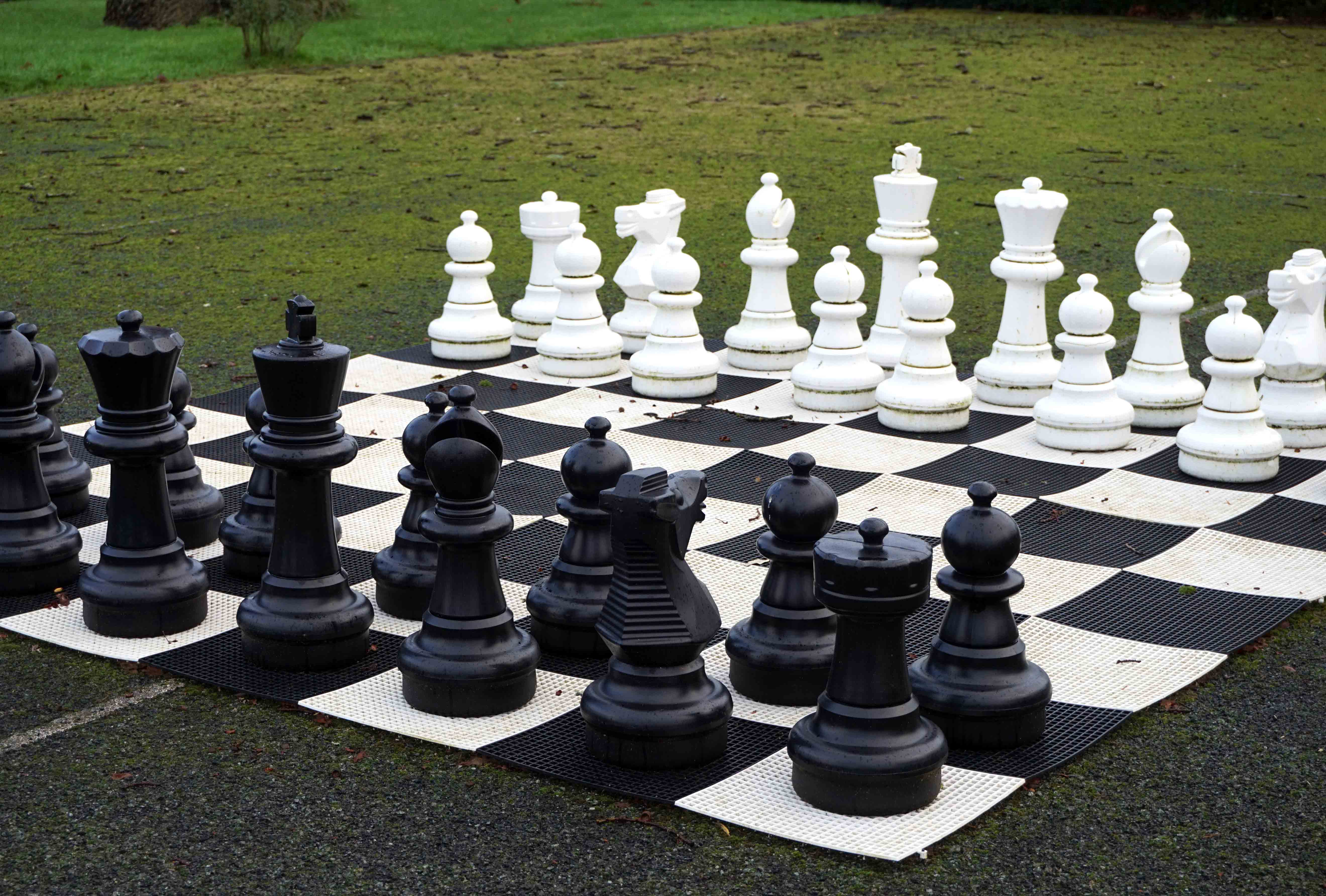 Llangoed Hall Hotel Grounds