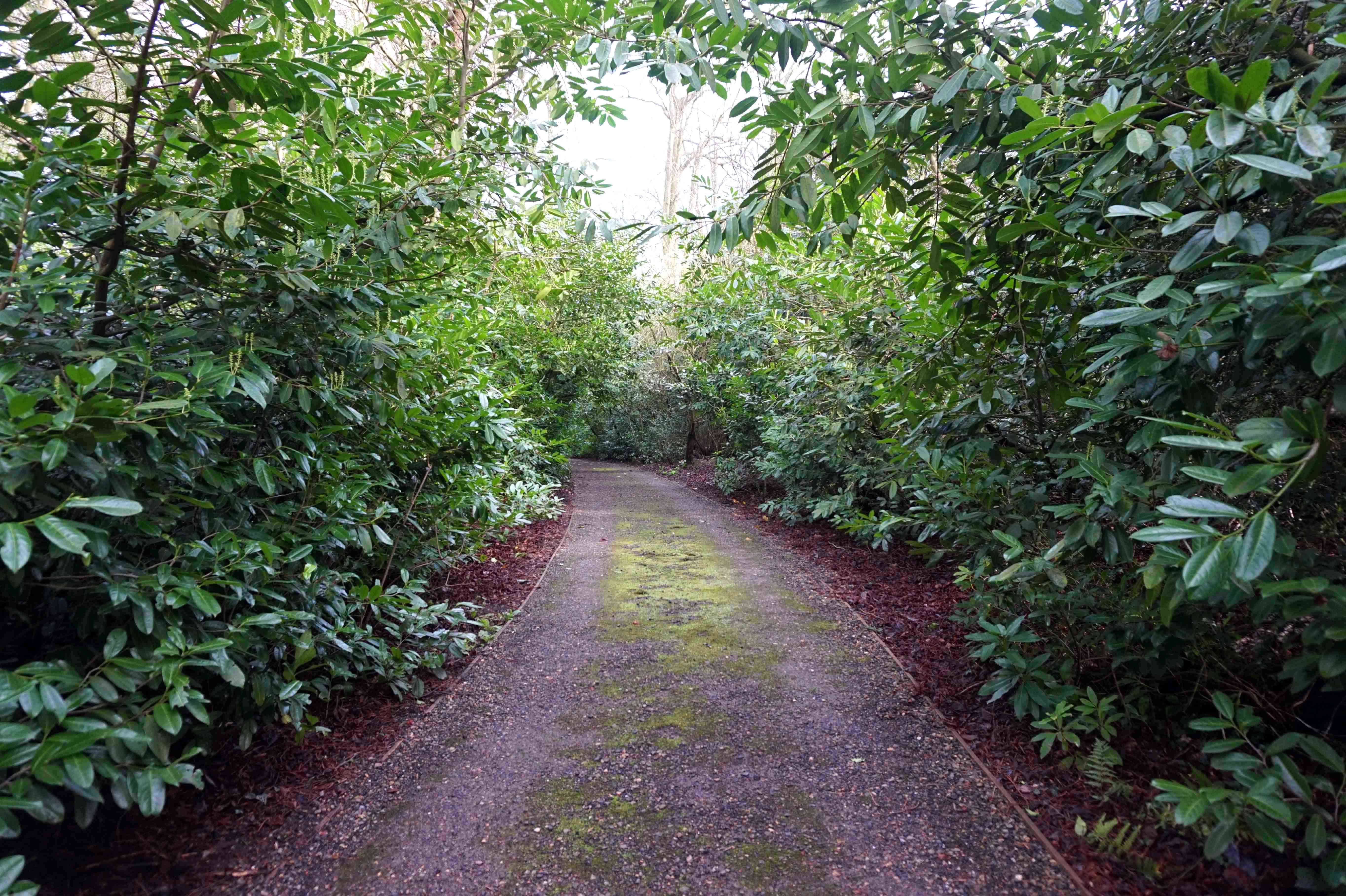 Hampton Manor Grounds