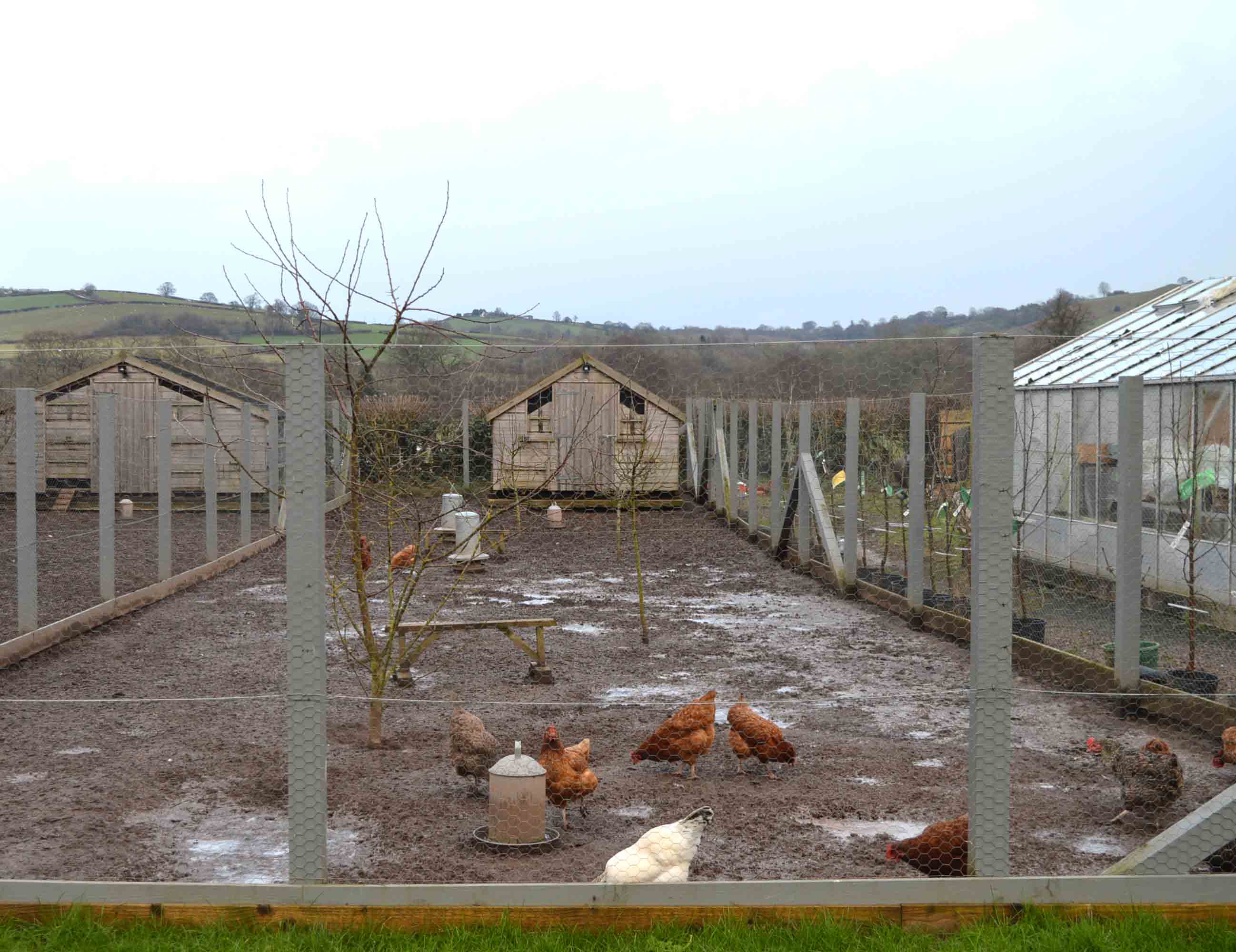 Llangoed Hall Hotel Grounds