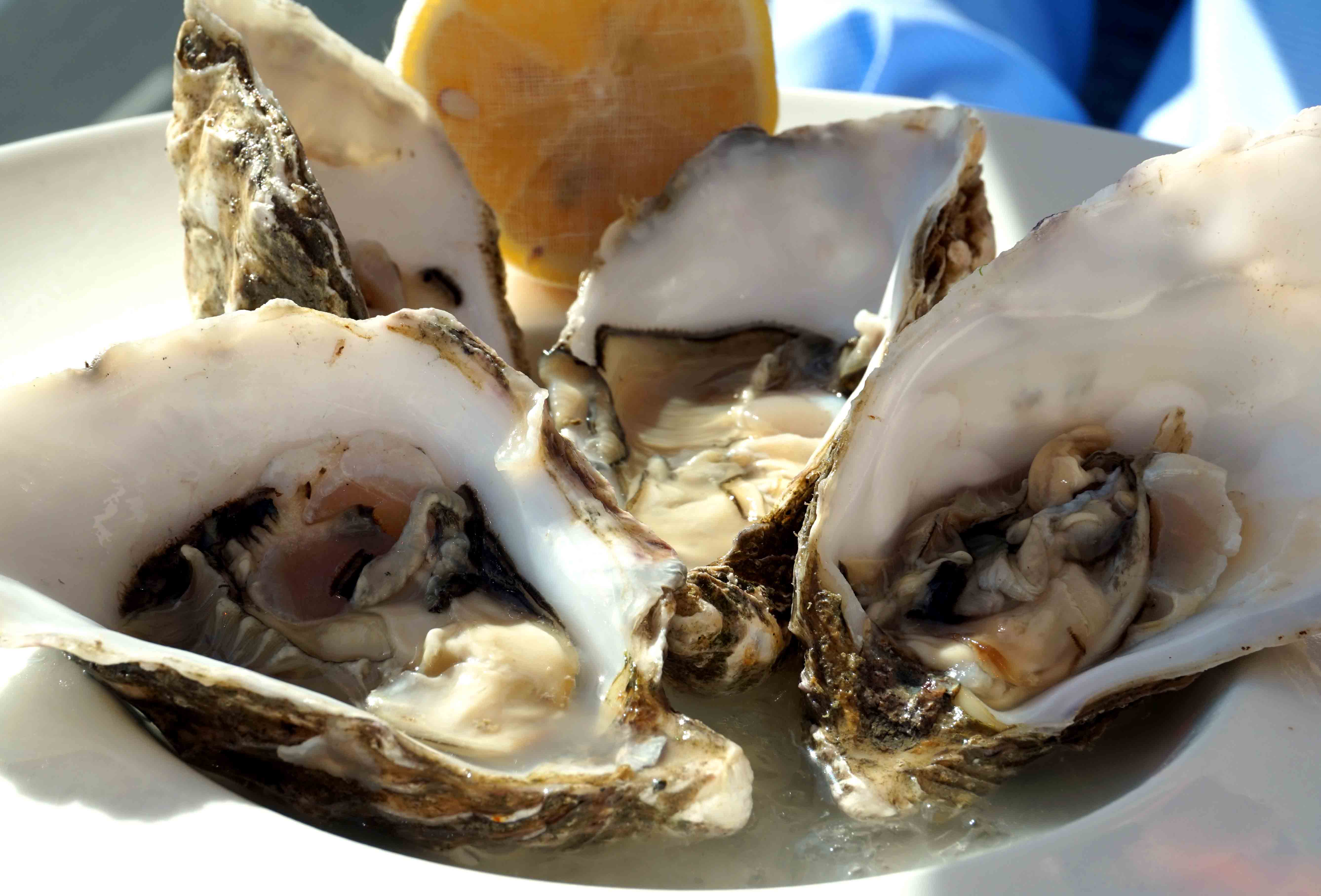 REVIEW: Sumas Restaurant, Gorey Hill, St Martin, Jersey