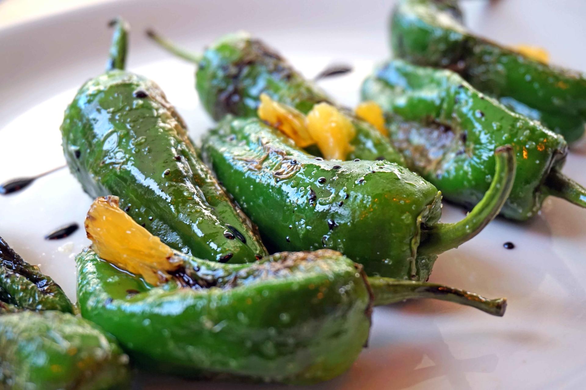 Artisan Bistro Restaurant Review: Seafood Heaven and Delectable Small Plates at The Artisan Bistro in Chelsea