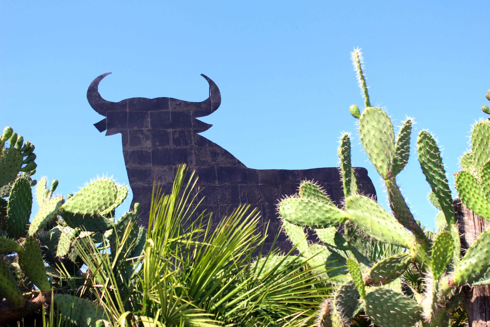 50 Photos to Tempt You to Jerez de la Frontera in Spain