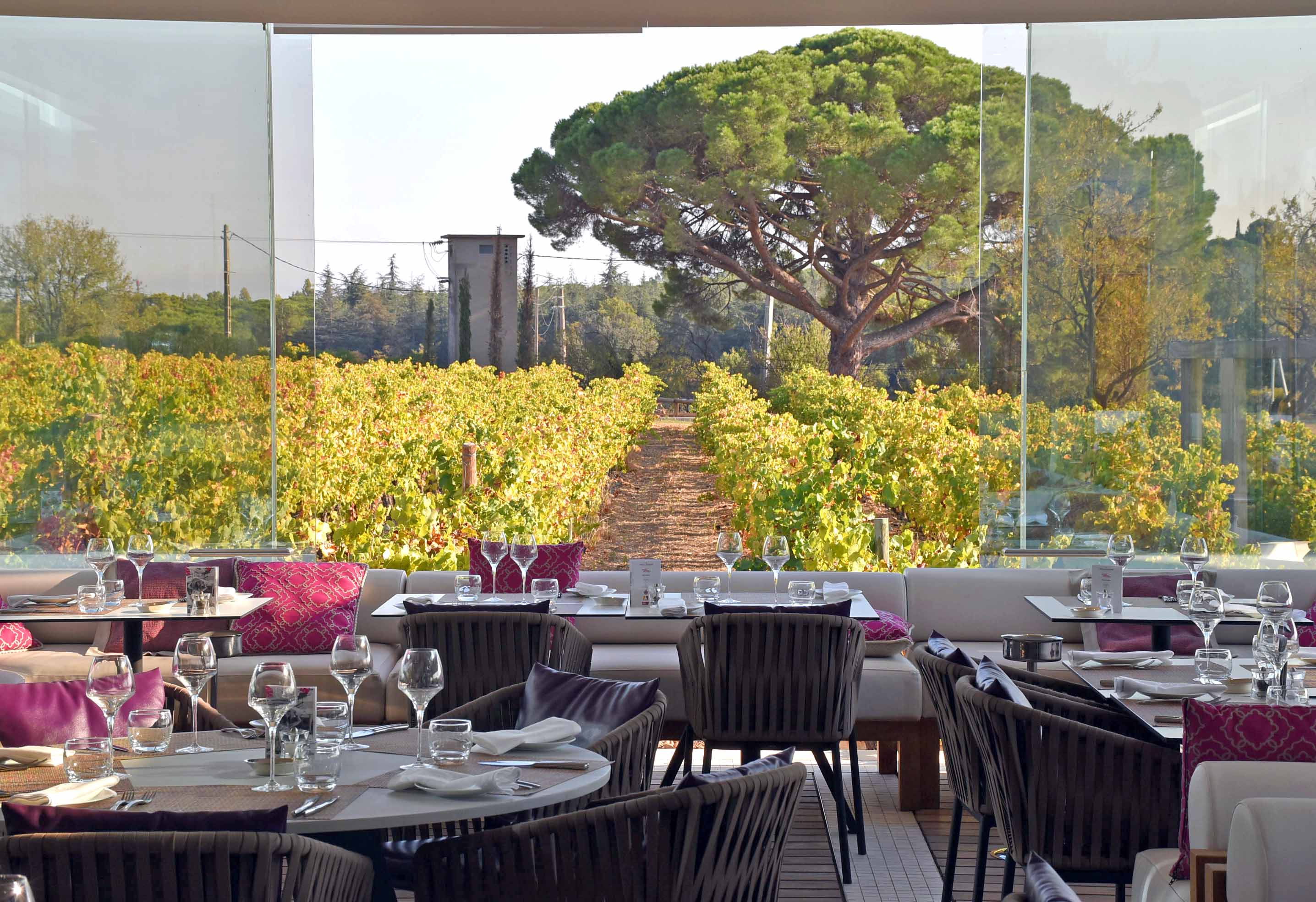 La Plage by Verchant Restaurant Review: An Idylic Vineyard Setting in the Montpellier Countryside