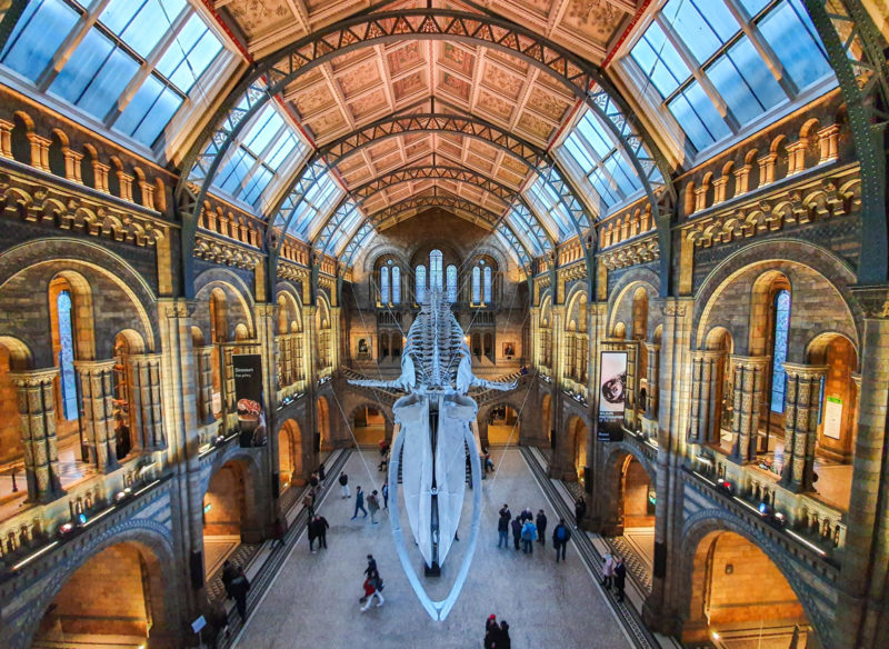 The London Challenge – Exploring the Bustling Borough of Kensington